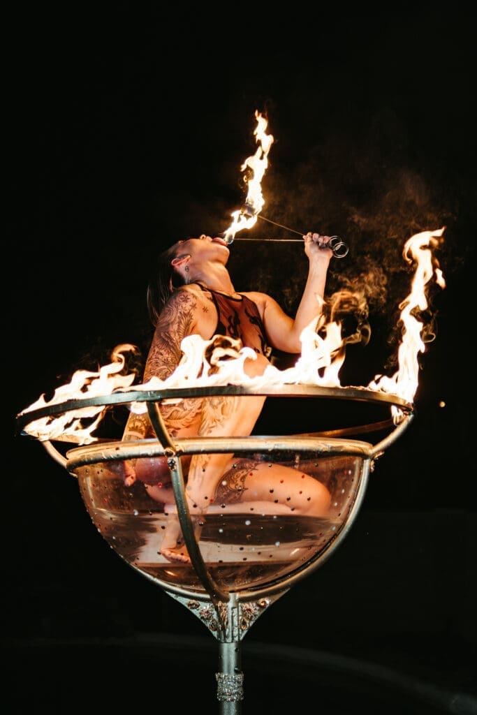 BumblebeePhotofilm 63