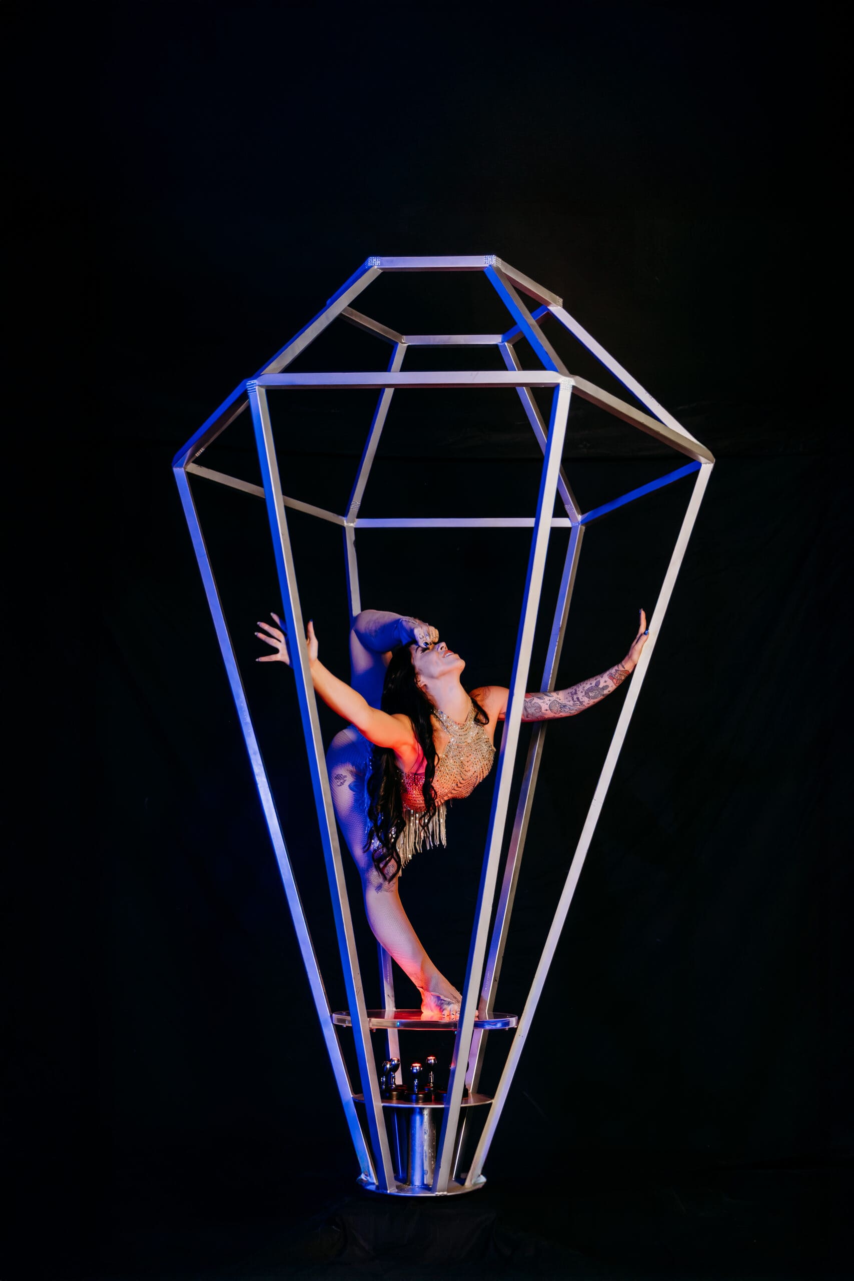 Bumble Bee Photo Film 17 scaled