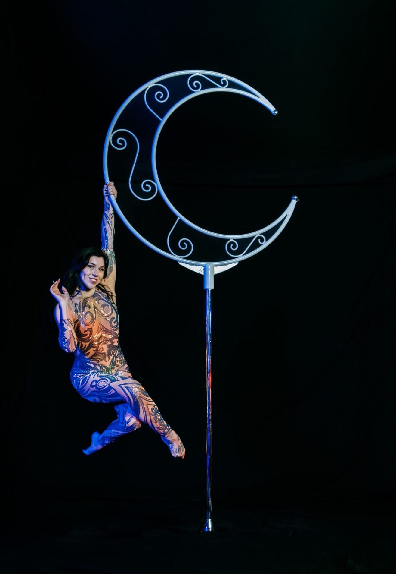 Bumble Bee Photo Film 20 scaled e1753135962937