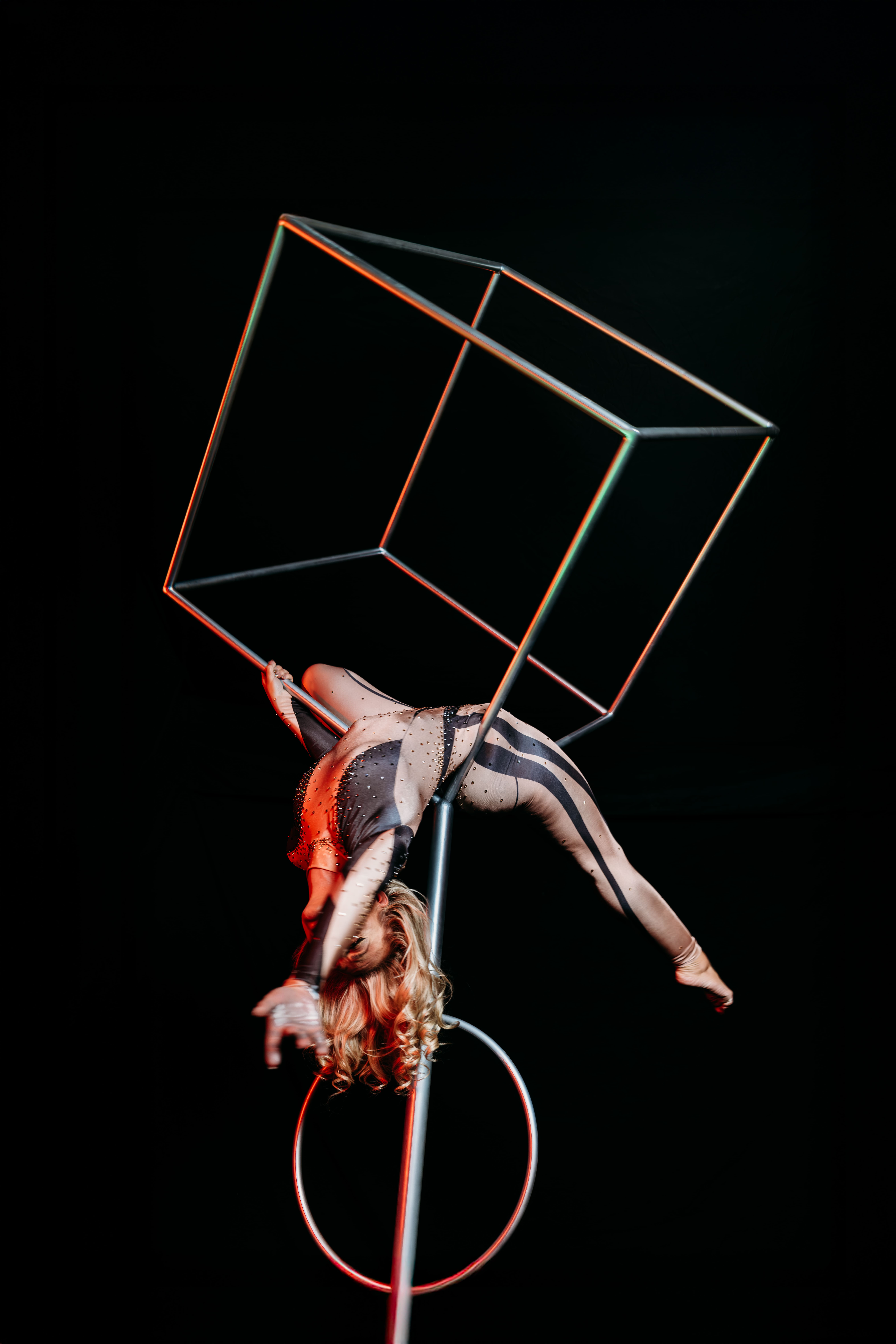 Bumble Bee Photo Film 29